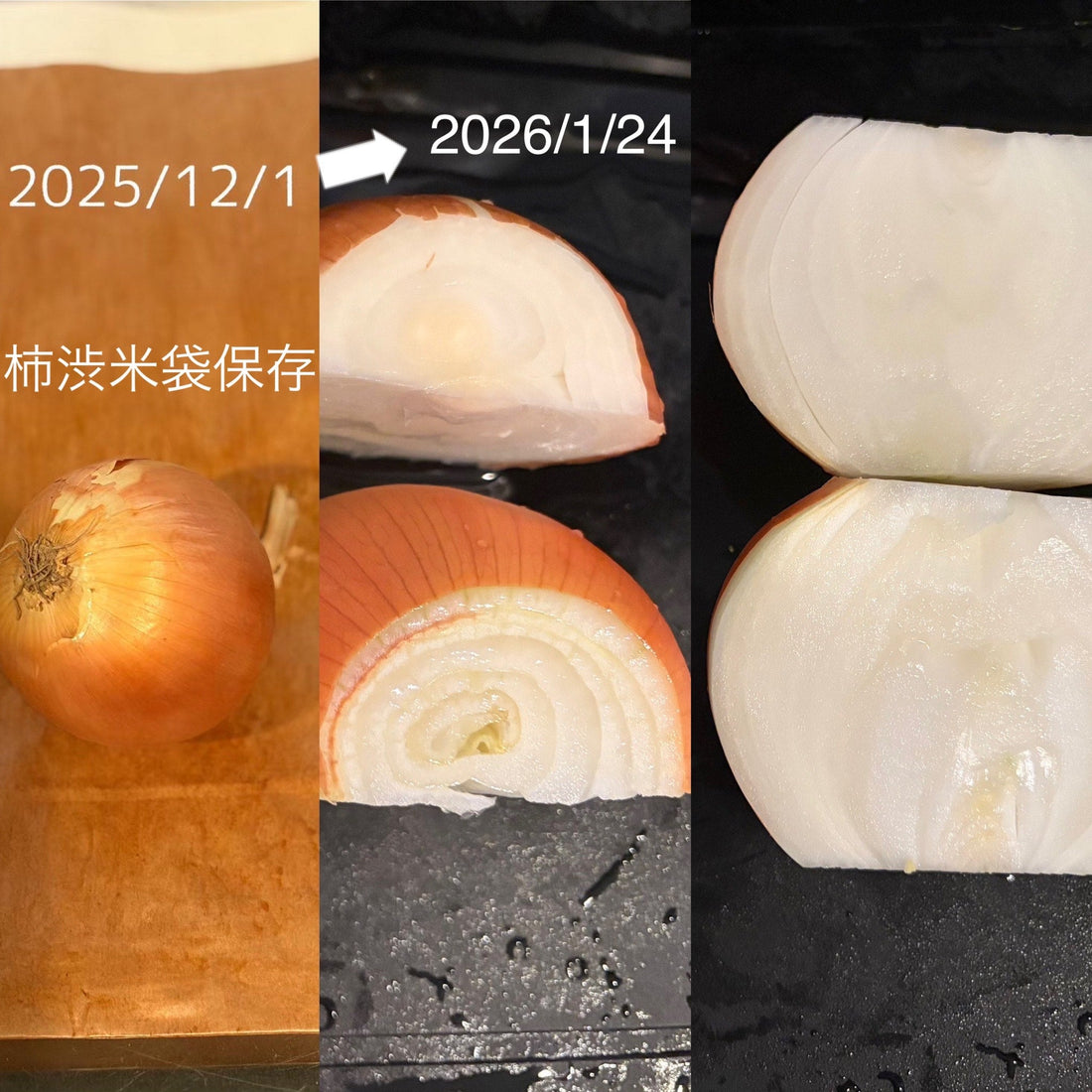 【衝撃の結果】柿渋米袋で玉ねぎが2ヶ月経っても新鮮そのもの！